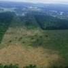 Recently deforested areas in the Amazon jungle. Credit: Photo Stock
