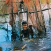 Fish farms abound on the Tonle Sap in Cambodia Credit: Moeun Nhean