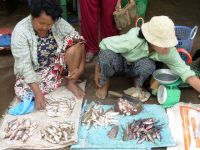 Cambodian women are getting increasingly involved in the fishing industry. Credit: Andrew Nette/IPS