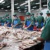Women clean fish at the start of the food-processing chain in Pattani. Credit: Marwaan Macan-Markar/IPS