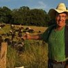 Joel Salatin of Polyface Farm and his grass-fed herd. Credit: Food Inc.
