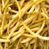 A yellow variety of the common bean has been under an "unfair" patent for years.  Credit: Photo Stock