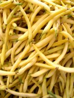 A yellow variety of the common bean has been under an "unfair" patent for years. Credit: Photo Stock A yellow variety of the common bean has been under an "unfair" patent for years. Credit: Photo Stock