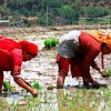 Only 10 percent of spending on economic services supports gender equality.  Credit: Mallika Aryal/IPS