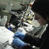 Scientists, like these on a polar expedition, travel worldwide to study environmentally mobile and persistent chemical pollutants.  Credit: Elizabeth Grossman/IPS
