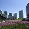 A green roof building in Toronto, Canada. Credit: 416style