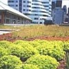 Green Roof System in Toronto, Canada Credit: greenroofs.org