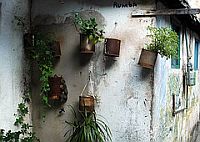 A hanging wall garden in Havana, Cuba, where residents grow much of their own produce. Credit: Zorilla