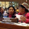 Indigenous leaders at the U.N. discuss climate change and biodiversity on Apr. 21, 2008. Credit: Nergui Manalsuren/IPS