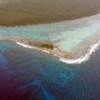 Mangroves, sea grass and coral reefs in Belize&#39s Turneffe Islands. Credit: Melanie McField