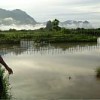 Flooded paddy in Phahang village, central Laos.  Credit: E Souk/IPS