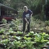 Gloria Tatum tends to her front yard garden, doing her part towards sustainability.  Credit: Matthew Cardinale/IPS