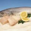 Argentina's hake stocks could disappear if unregulated fishing continues.  Credit: Photo Stock
