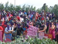 Brazilian women rally against deforestation. Credit: Courtesy of WRM Uruguay