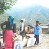 Villagers in Bajura District (mid-west Nepal) get their share of rice provided by the World Food Programme.  Credit: Guido Agostinucci/ FAO