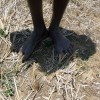A farmer stands in his parched paddy field in drought-hit Ampara district. Credit: Perambara.org