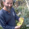 Paul Maschka opens an African horned melon to reveal its psychedelic contents. Credit: IPS/Lance Drill