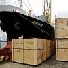 Indonesian plywood being unloaded at a Japanese port Credit: Greenpeace