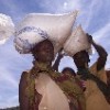 A regional food crisis persists. (Photo: Obed Zilwa) Credit: PictureNET Africa