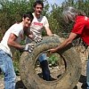 Volunteers Aritz Aduriz and Igor Gabilondo dispose of an old tire. Credit: Alfonso Lopez