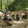 Workers clean up oil spill in the Amazon. Credit: Ben Powless