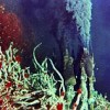 Hydrothermal vent Credit: NASA