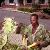 Disenfranchised: a Zimbabwean who has found work in South Africa. (Photo: Henner Frankenfeld) Credit: PictureNET Africa