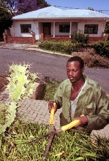 Disenfranchised: a Zimbabwean who has found work in South Africa. (Photo: Henner Frankenfeld) Credit: PictureNET Africa Disenfranchised: a Zimbabwean who has found work in South Africa. (Photo: Henner Frankenfeld) Credit: PictureNET Africa