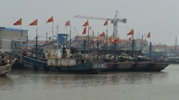 Aging fishing boats at Lusi, China. China’s policy is to cut the size of its massive fishing fleet and to adopt practices that are not destructive to the environment. Credit: Trevor Page