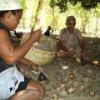 Women opening babaçú coconuts. - Movimento Inter-estadual de Quebradeiras de Coco Babaçú