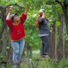 Workers collecting grape leaves near Rosario, Chile. - Toby Adamson/Oxfam.