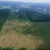 Recent deforestation in the Amazon. - Photo Stock