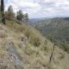 Devastated forests on Olancho hillsides. - National Human Rights Commission