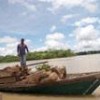 Log shipment on the Atrato River. - Jesús Abad Colorado