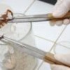 Extraction of venom from a blue scorpion. - Randy Rodríguez