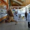 The reception area at the Mapuche medical center. - Daniela Estrada