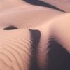 Sonora Desert, Mexico. - Claudio Contreras.