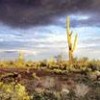 The 3,141-km U.S.-Mexico border stretches across biologically rich areas - Claudio Contreras