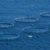 Fish farms out at sea - Photo Stock