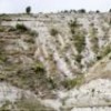 Haitian hills damaged by erosion. - Courtesy of Floresta-Brad Lewis