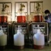 Bio-energy research using a molecular reactor. - Photo Stock