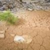 The lack of rain is drying up otherwise fertile land. - Mauricio Ramos/IPS