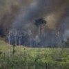 Fires in the Amazon. - Courtesy of Greenpeace
