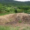 Compost in Garopaba, Brazil. - Clarinha Glock/IPS