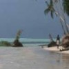 A native of one of the islands of Carteret, in Papua-New Guinea, follows the coastline eroded by ever-higher tides. - Indigenous Summit