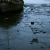 The Riachuelo in Buenos Aires - Malena Bystrowicz/IPS