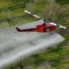 Helicopters or planes are used to spray coca crops with pesticide. - Photo Stock