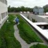 Employees and patients alike enjoy the green roof of the Belisario Domínguez Hospital. - Verónica Díaz Favela/IPS