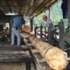 A sawmill in the indigenous community of Nuevo San Juan Parangaricutiro, Michoacán, Mexico. - Courtesy of the community.