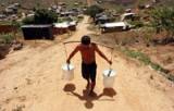Carrying water in the Chico Mendes landless peasant settlement in Pernambuco, Brazil. - Alejandro Arigón/IPS. Carrying water in the Chico Mendes landless peasant settlement in Pernambuco, Brazil. - Alejandro Arigón/IPS.